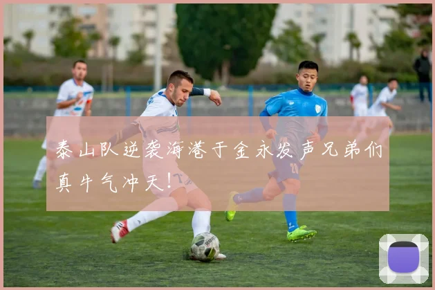泰山队逆袭海港于金永发声兄弟们真牛气冲天！