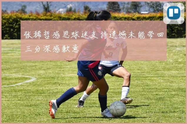 张稀哲感恩球迷支持遗憾未能带回三分深感歉意